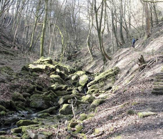 Bemooste Steine im Diefenbachtal, © NaturAktivErleben