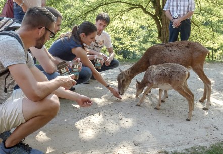 Eifelpark Gondorf, © Eifelpark Gondorf