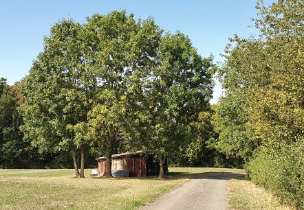 Grange, © TI Bitburger Land - Steffi Wagner