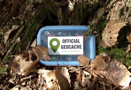 Geocache am Waldboden