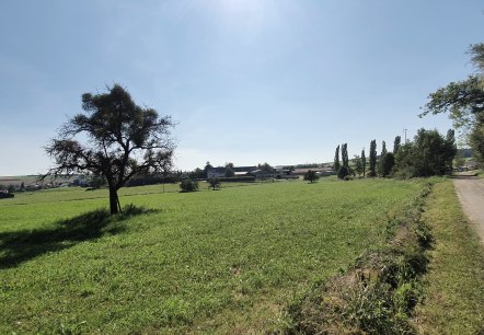 Unterwegs auf dem Bitburger LandGang in Idesheim, © TI Bitburger Land