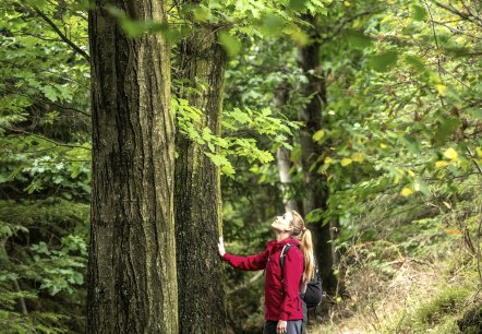 Stressbewältigung, © Eifel Tourismus GmbH, Dominik Ketz