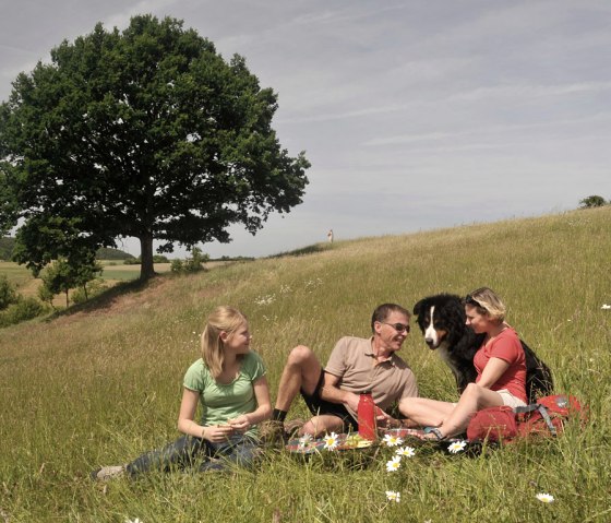 Picknick auf der Wiese, © NaturWanderPark delux