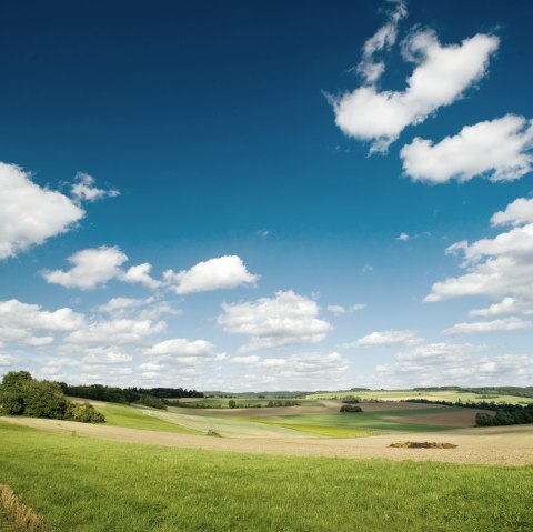 Südeifel Panorama, © Eifel Tourismus GmbH