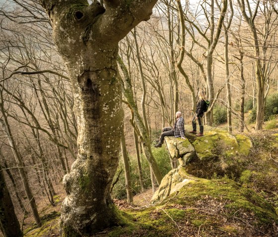 Schroffe Felsen, © Eifel Tourismus GmbH, D. Ketz