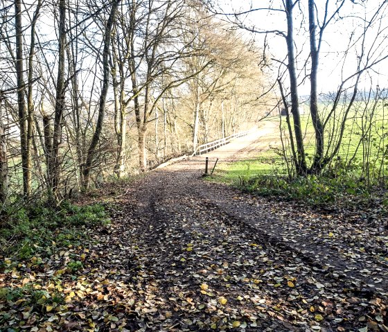 Wanderweg Nr 2a in Wißmannsdorf, © Georg Lotzkes