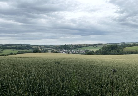 Blick auf Oberweis, © Daniel Köhler