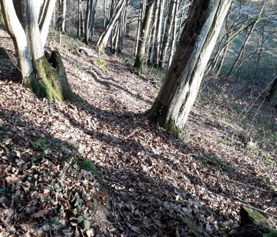 Ab durch die Natur auf dem Wanderweg Nr. 2b in Wißmannsdorf, © Georg Lotzkes