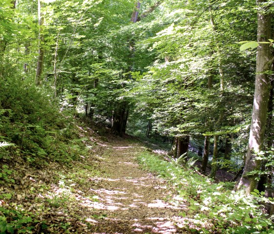 Stadtwald "Hahn" in Kyllburg, © TI Bitburger Land_M.Mayer