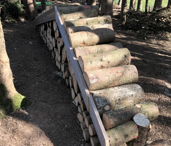 Hundespielplatz Bitburg - Impressionen 2, © Irene Weber