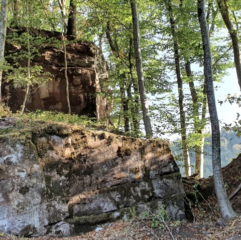 Gewässerlehrpfad Echtersbach, © Tourist-Info Bitburger Land