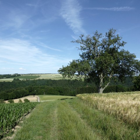 Ein Traumplatz zum Picknicken und Genießen, © NaturAktivErleben