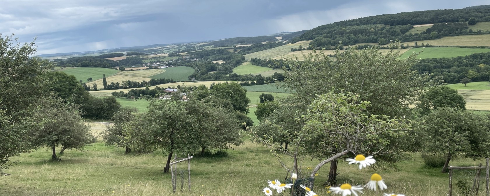 Wanderweg 6 in Oberweis, © Daniel Köhler