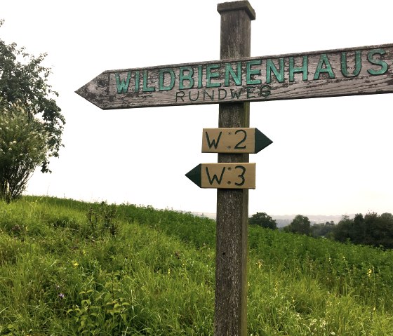 Markierung am Start des Naturlehrpfades in Wilsecker - Bademer Straße, © Ti Bitburger Land