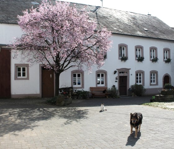 Ferme, © Norbert Heck Halsdorf