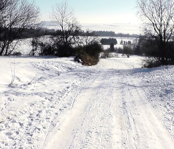 Höhenwanderung Mohrweiler