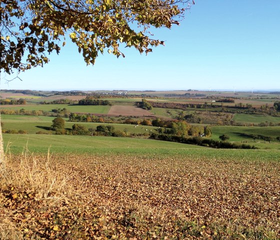 Vier-Jahreszeiten-Spaziergang Niederweiler, © Tourist-Information Bitburger Land_Doris Welter