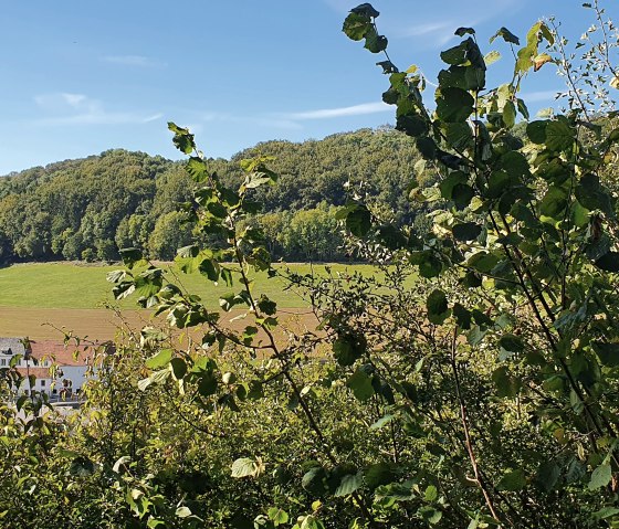 Blick auf ein altes Bauernhaus im Tal, © TI BItburger Land - Steffi Wagner