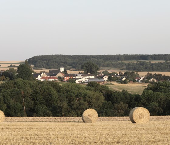 Blick auf Metterich, © Irmgard Rüdiger