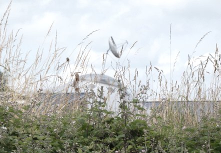 Das Ufo von Fließem, © TI Bitburger Land