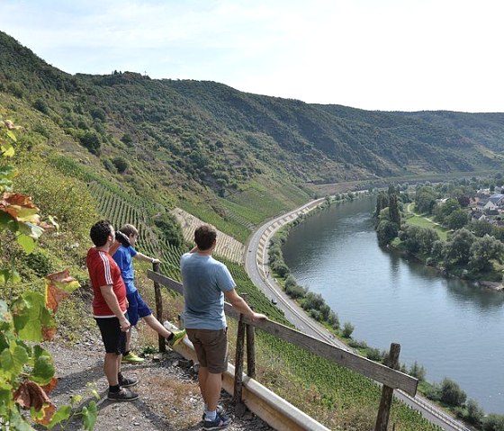 sur la Moselle, © Norbert Heck Halsdorf