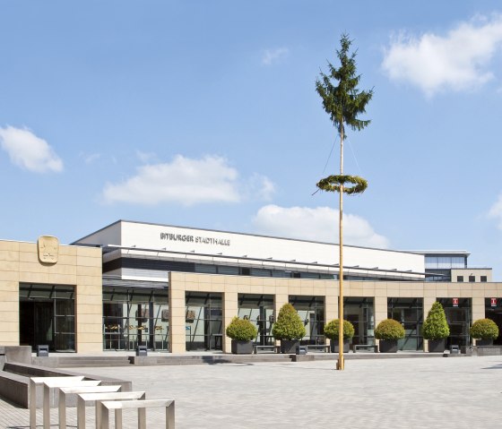 Maibaum vor der Stadthalle