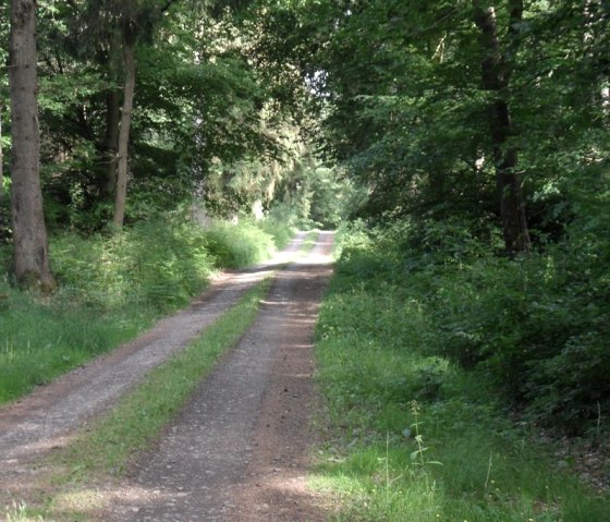 Genieten van de natuur