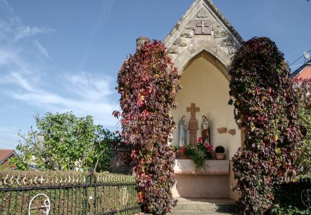 Chapelle à Wolsfeld - Alpaga dans la prairie - Bitburger LandGang Wolsfeld - Tour des monuments, © Tourist-Information Bitburger Land