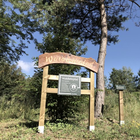 Waldlehrpfad Oberkail, © TI Bitburger Land