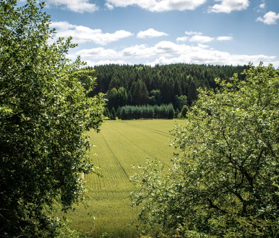 Landschaftsblick - Bitburger LandGang Neidenbach, © TI Bitburger Land - Monika Mayer