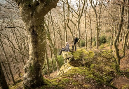 Ruige rotsen, © Eifel Tourismus GmbH, D. Ketz