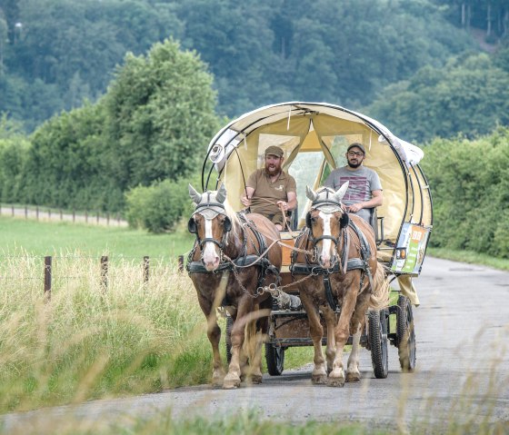 Kutsschfahrt Nengshof, © Carsten Lenz, Nengshof