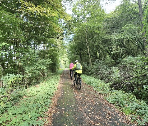 Nimstal-Prümtal-Runde - Prümradweg bei Oberweis, © TI Bitburger Land, Steffi Wagner