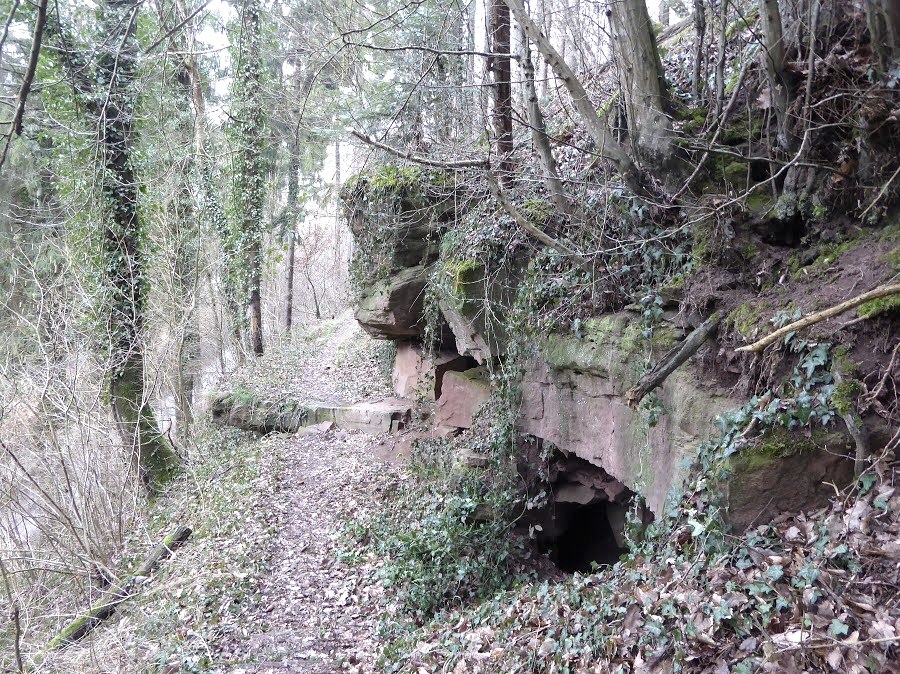 Mungelterpfad - Mühlenweg Speicher, © Eifelverein Ortsgruppe Speicher