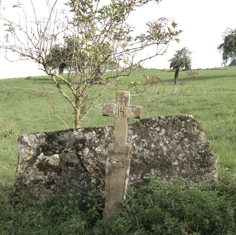 Streuobstwiesen oberhalb von Erdorf mit Wegkreuz von 1804, © NaturAktivErleben