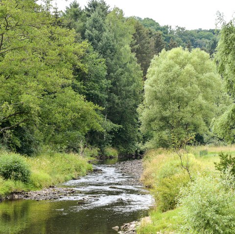 La Prüm, © TI Bitburger Land