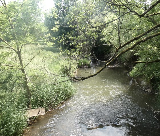 Der Wanderweg überquert die Nims, © TI Bitburger Land