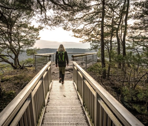 Omlijst door de bomen bij het Gaisley uitkijkpunt, © Eifel Tourismus GmbH, D. Ketz