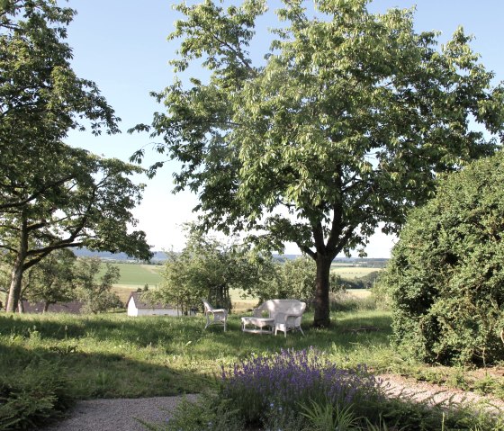 Vue du jardin