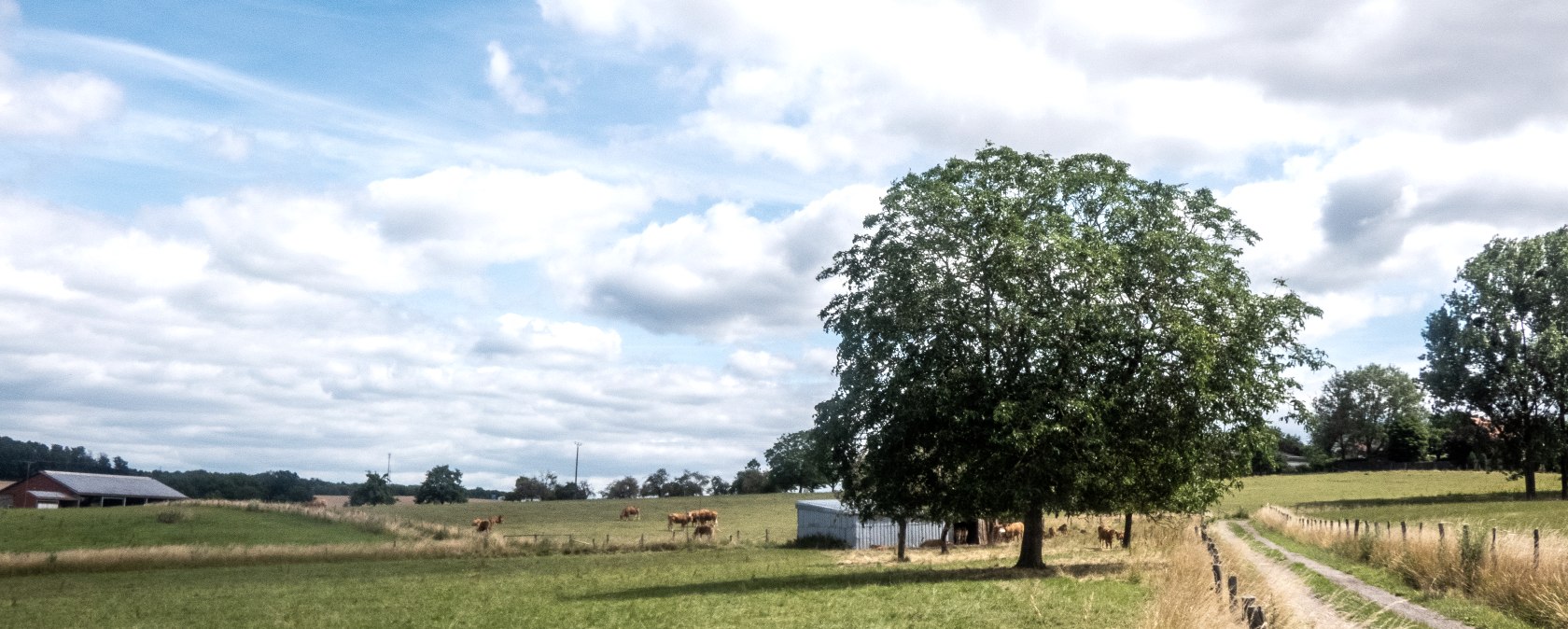 Ausblick auf dem Bitburger LandGang Zum Trindel, © TI Bitburger Land