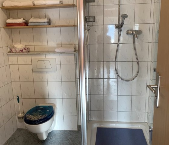 Douche 90 x 90 avec porte en verre