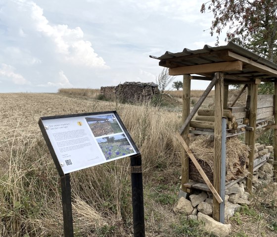 Wanderweg Röhl_Insektenlehrpfad(C)Benjamin Milbach (1), © B. Milbach