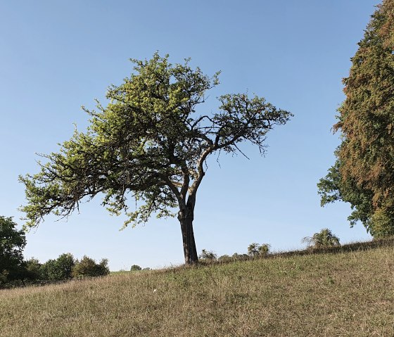 Panoramablick über Brecht, © TI Bitburger Land, Steffi Wagner