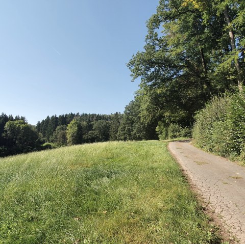 Weg entlang des Waldes, © Tourist-Information Bitburger Land