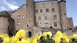 Schloss Hamm, © Tourist-Information Bitburger Land