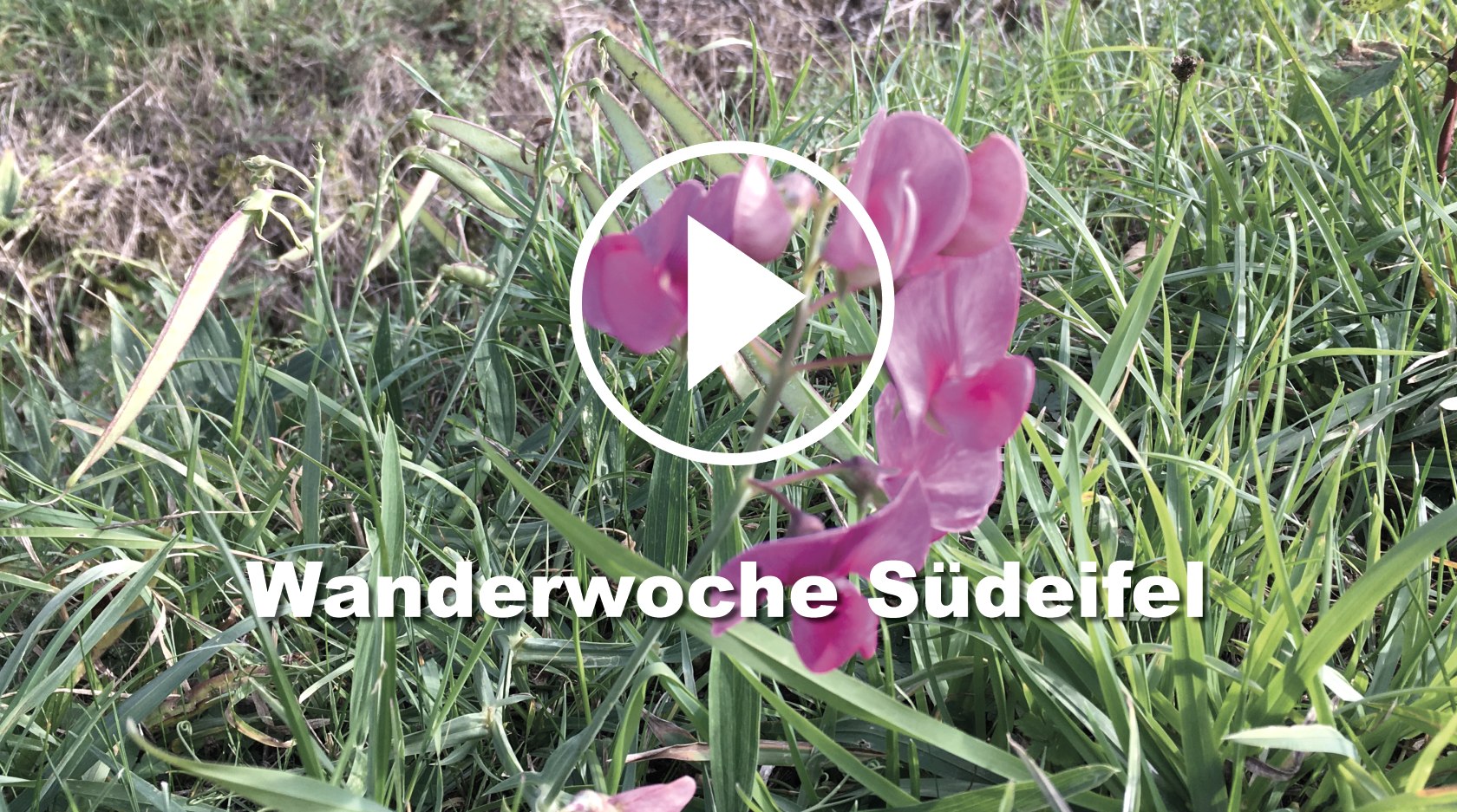 Startbild Wanderwoche Video, © TI Bitburger Land