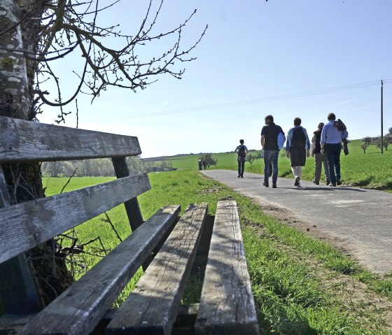 Rundweg OK 2, © TI Bitburger Land