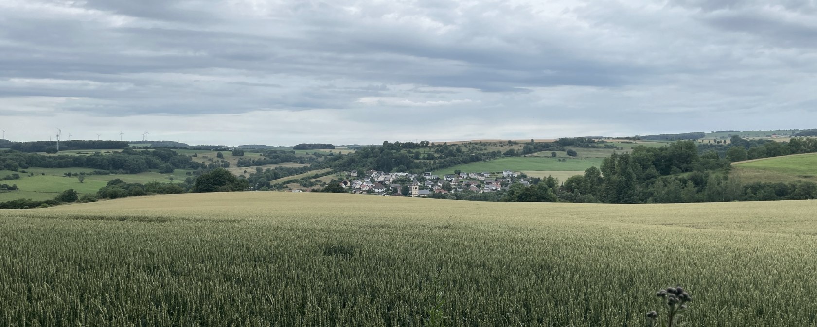 Blick auf Oberweis, © Daniel Köhler