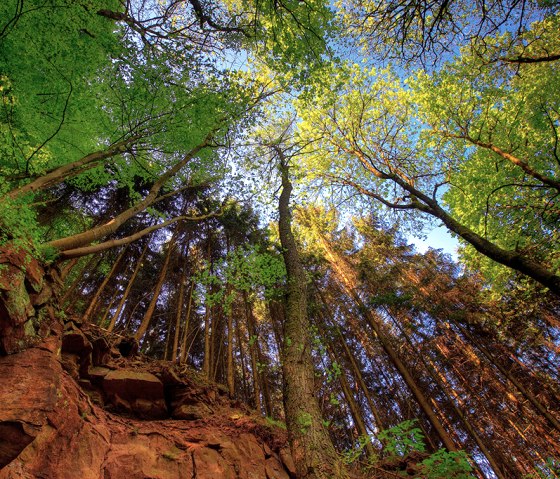 roter Sandsteinfelsen auf der Kylltaler Buntsandsteinroute, © Naturpark Südeifel, Charly Schleder