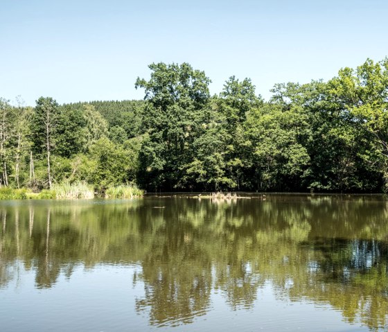 Blick auf den Stauweiher auf der Eifelgold Route, © Eifel Tourismus GmbH, D. Ketz